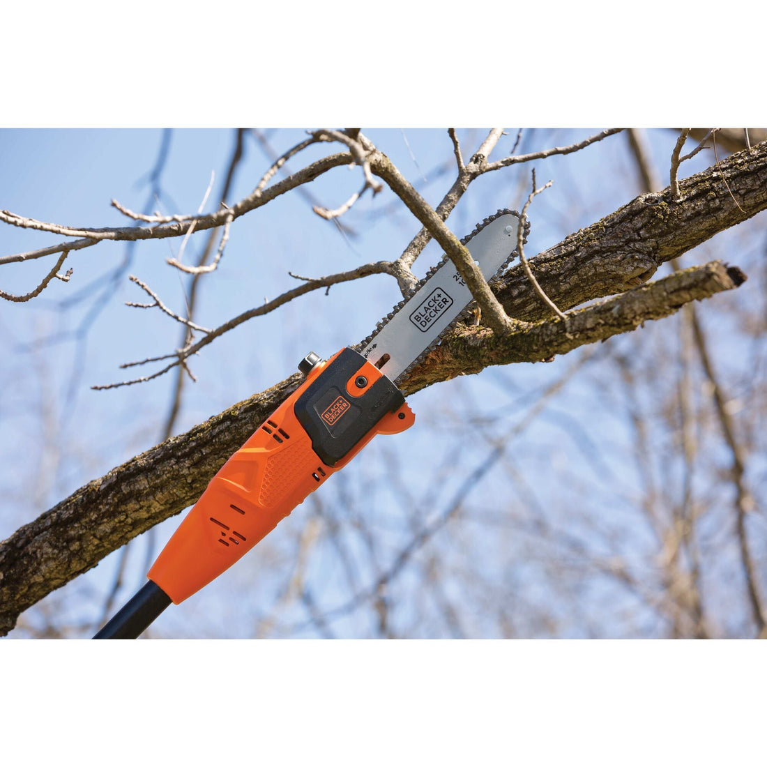 Electric Pole Saw, 10-Inch, 6.5 Amp